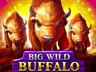 Big Wild Buffalo thumbnail